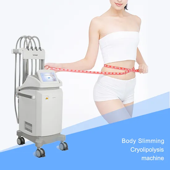 New Technology More Enjoyable Permanent Cryolipolysis Lipolysis Lipo Laser Machine 